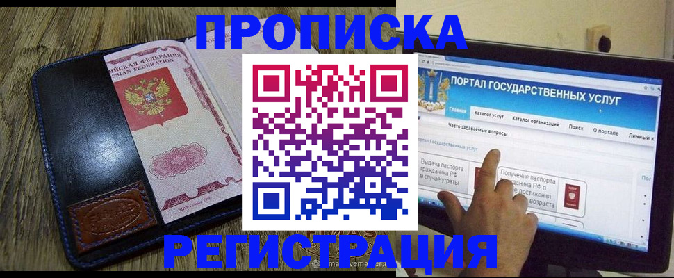 прописка гарантия в Апатитах